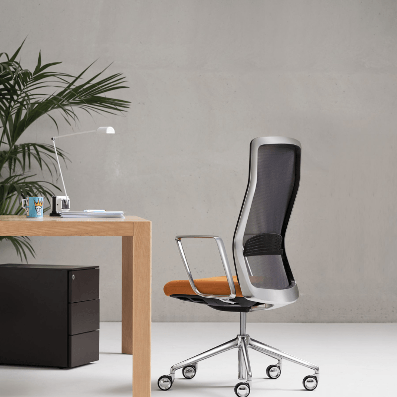 Thats' It - sino-swiss